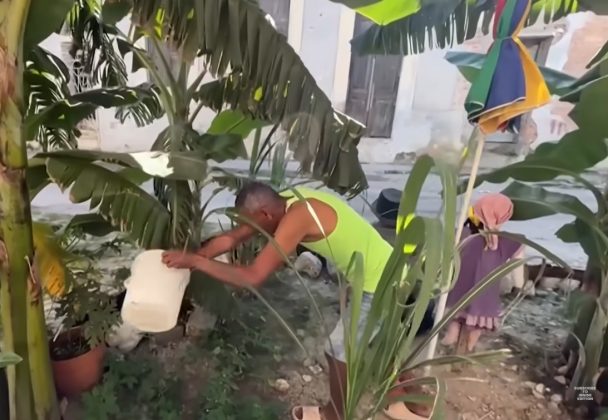 Com o tempo, as plantas começaram a crescer, e uma bananeira deu início à pequena plantação que hoje é cuidada pelos moradores (Foto: Reprodução/Inside Edition)