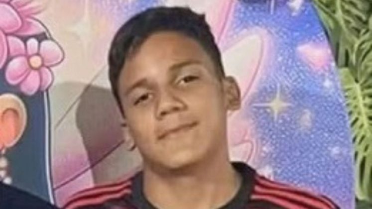 Um adolescente de 14 anos foi hospitalizado em estado grave após ser atacado por um enxame de abelhas enquanto tentava recuperar uma bola que caiu em uma área de mata na região da Fercal, no Distrito Federal (Foto: X)