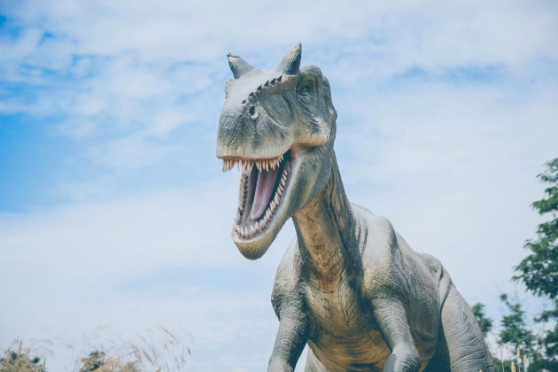 No entanto, alguns pesquisadores apontam que a taxa de extinção dos dinossauros estava superando o surgimento de novas espécies, o que poderia indicar um declínio gradual (Foto: Unsplash)