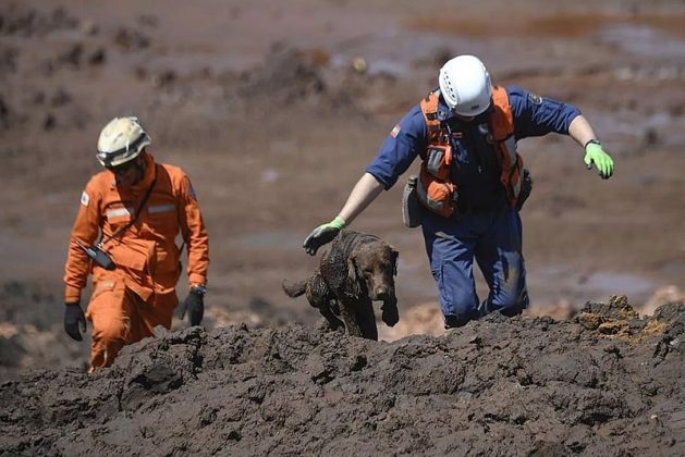 A Polícia Civil de Minas Gerais anunciou nesta sexta-feira (7) a identificação de mais uma vítima do rompimento da barragem da Vale em Brumadinho, ocorrido em 25 de janeiro de 2019 (Foto: X)