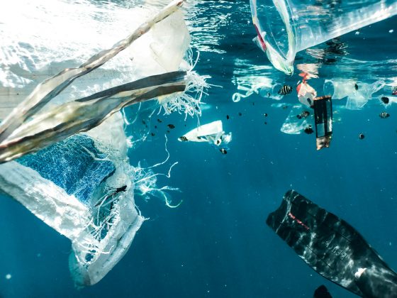 A poluição causada por plásticos representa uma ameaça para a vida marinha e para os seres humanos (Foto: Unsplash)