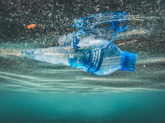 A crescente poluição dos oceanos causada pelo descarte de plásticos tem sido motivo de preocupação global (Foto: Unsplash)