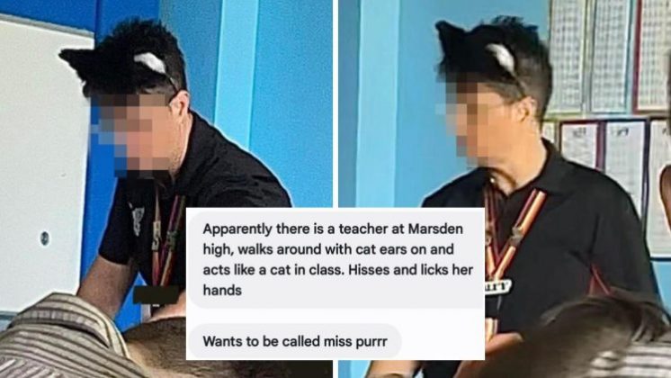 Segundo pais preocupados, ela rosnava para os alunos, lambia as mãos e exigia ser chamada de "Senhorita Purr (Foto: Reprodução/The Courier-Mail)