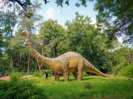 O paleontólogo Dale Russell chegou a sugerir a possibilidade de um "dinossauroide", um réptil altamente desenvolvido e com capacidades cognitivas avançadas (Foto: Unsplash)