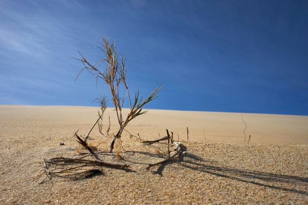 De acordo com dados da Climatologia Aplicada da Universidade de São Paulo (USP), a combinação entre altas temperaturas e umidade pode fazer com que a sensação térmica chegue a 70°C em algumas localidades (Foto: Unsplash)