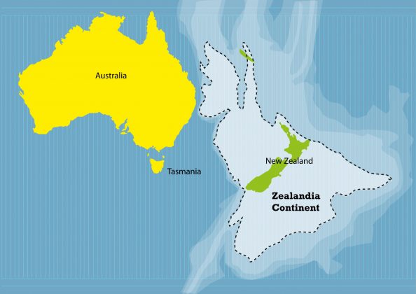 No entanto, em 2017, cientistas confirmaram a existência da Zelândia, uma vasta massa terrestre de aproximadamente 5 milhões de quilômetros quadrados, situada no sudoeste do Oceano Pacífico (Foto: X)