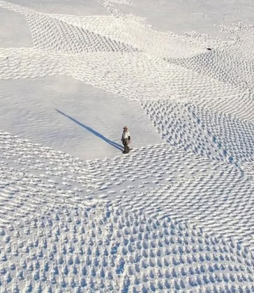 "Cada padrão é planejado com precisão, mas sua beleza está na transitoriedade." (Imagem: reprodução Instagram)