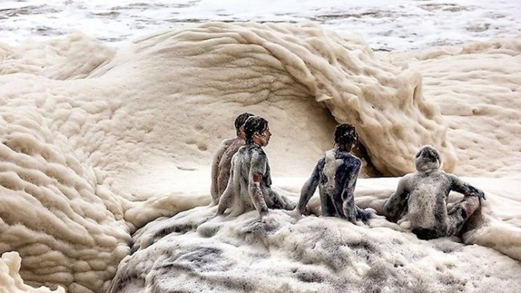 Animais como dragões-marinhos, polvos e peixes têm sido encontrados sem vida nas areias, aumentando o alerta de moradores e especialistas (Foto: X)