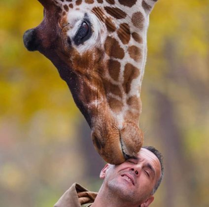 Horas depois da morte de Riste, a última girafa do zoológico, Floppy, também faleceu. (Imagem: reprodução instagram)