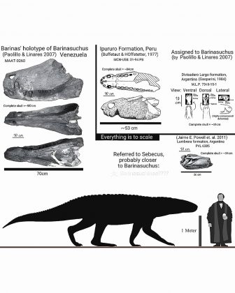 "Os pesquisadores continuam investigando seus hábitos predatórios." (Imagem: reprodução Instagram)