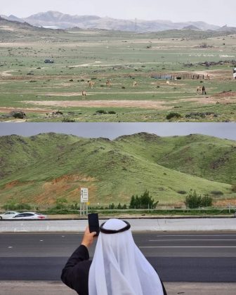 O deserto da Arábia Saudita se transformou em um oásis verde. (Imagem: reprodução instagram @im_hfd)