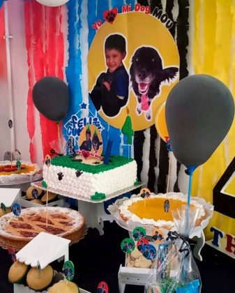 Thomy comemorou seu 4º aniversário com uma festa especial. (Imagem: reprodução Instagram)