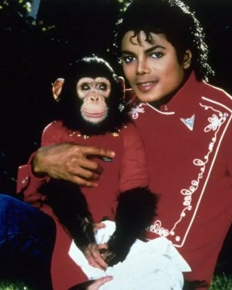 Bubbles, o chimpanzé que foi companheiro de Michael Jackson por anos, completou 42 anos recentemente. (Imagem: reprodução Instagram)