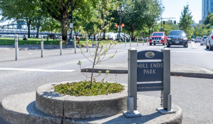 Antes, o recorde pertencia ao Mill Ends Park, em Portland, nos Estados Unidos. Com dois metros de diâmetro, ele tinha apenas uma árvore e algumas plantas (Foto: Reprodução/YouTube)