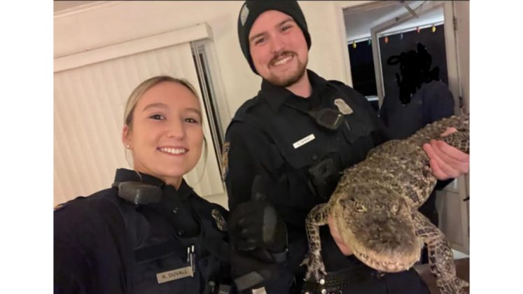 De acordo com o proprietário, Wally teria desaparecido no quarto e, sem conseguir encontrá-lo, ele concluiu que o réptil havia fugido para a natureza (Foto: X)