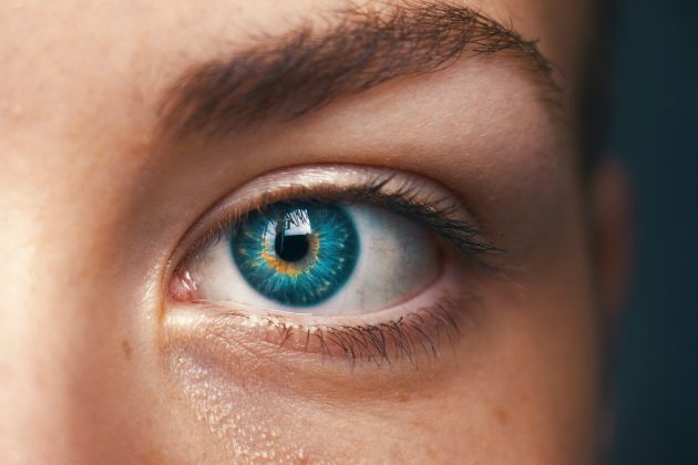 No estudo, os participantes analisaram a semelhança entre 93 cores distintas (Foto: Unsplash)