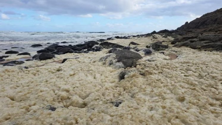 Uma espuma densa e amarelada, de origem ainda não confirmada, tem causado preocupação nas praias do sul da Austrália (Foto: X)