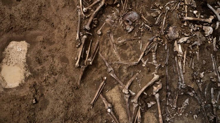 Esqueleto de criança de 29 mil anos atrás é encontrado na Tailândia (Foto: Evgeniyqw/Shutterstock)