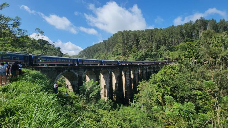 Um número alarmante de acidentes fatais envolvendo elefantes e trens levou o Sri Lanka a adotar uma medida incomum (Foto: X)