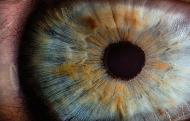 A maioria era composta por pessoas com visão de cores considerada típica, mas também havia um grupo expressivo de daltônicos (Foto: Unsplash)
