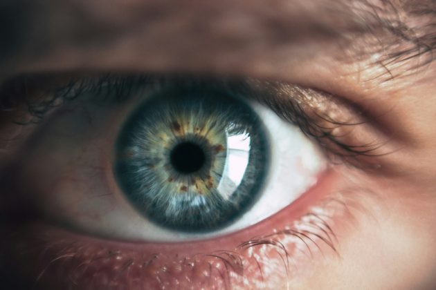 Pesquisadores internacionais conduziram um estudo inovador que aponta: sim, pessoas neurotípicas compartilham uma percepção muito semelhante das cores — embora o mesmo não possa ser dito para quem é daltônico (Foto: Unsplash)