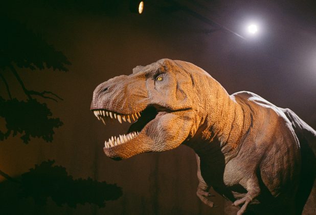 "O material genético mais antigo já recuperado tem apenas cerca de 2 milhões de anos. O T. rex desapareceu há 66 milhões", explicou (Foto: X)