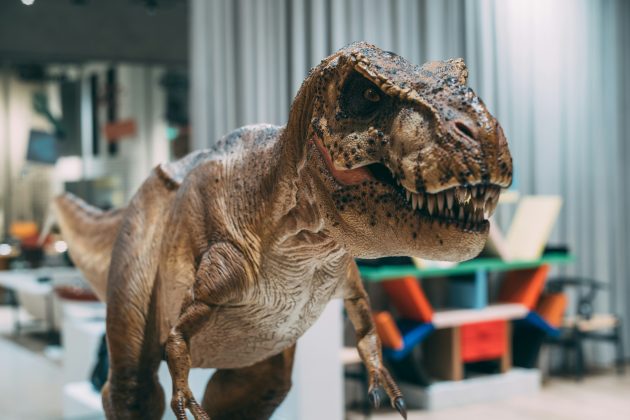 Segundo os idealizadores, a matéria-prima seria criada a partir de fragmentos de colágeno fossilizado e reproduzida com técnicas de engenharia genética (Foto: X)