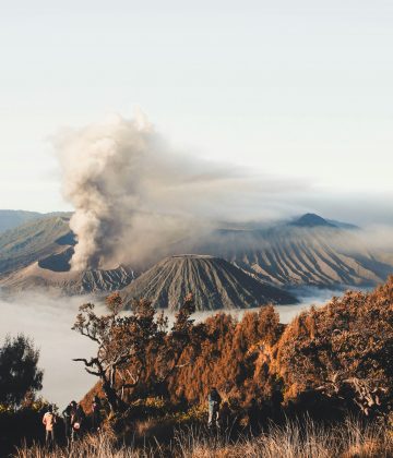 Mas uma pesquisa publicada nesta segunda-feira (28) na revista PNAS mudou essa perspectiva (Foto: Unsplash)