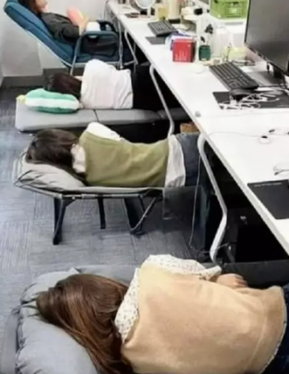"A prática conhecida como 'Inemuri' é comum no Japão." (Imagem: reprodução Instagram)