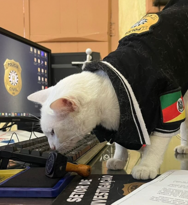 A conta @delegatathai no Instagram já acumula milhares de seguidores. (Imagem: reprodução Instagram)