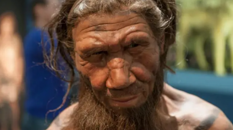 Para os autores, o estudo reforça que a fabricação de ferramentas entre os neandertais envolvia mais do que instinto — era um trabalho de decisão, técnica e refinamento (Foto: X)