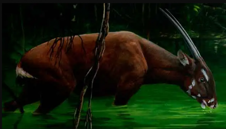 Quase invisível aos olhos humanos nas últimas décadas, o saola — um dos mamíferos mais raros do planeta — pode estar prestes a ganhar uma nova chance de sobrevivência graças ao avanço da genética (Foto: X)