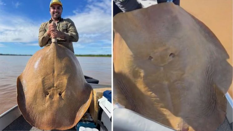 Uma experiência marcante pegou de surpresa um grupo de pescadores no norte de Goiás, no último dia 3 de maio (Foto: X)
