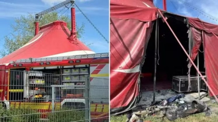 O que seria uma tarde divertida sob a lona de um circo em Aldenhoven, no oeste da Alemanha, terminou em pânico após um acidente com um número de pirotecnia (Foto: X)