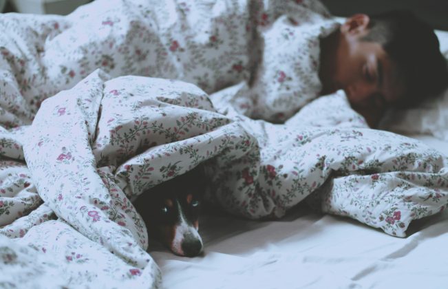 Fu lidera uma equipe que há décadas investiga os mecanismos genéticos por trás do sono curto natural (Foto: Unsplash)