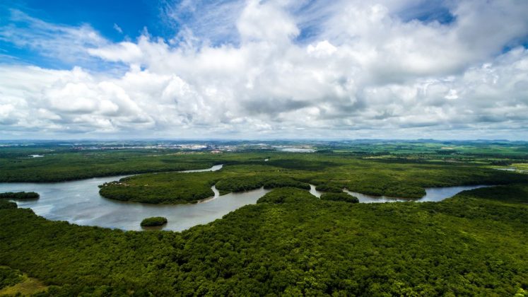 Mas para os povos indígenas locais, a explicação é outra — e muito mais simbólica (Foto: X)