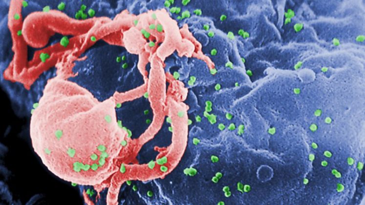 Uma mutação genética que pode proteger contra o vírus HIV tem origem muito mais antiga do que se imaginava (Foto: X)
