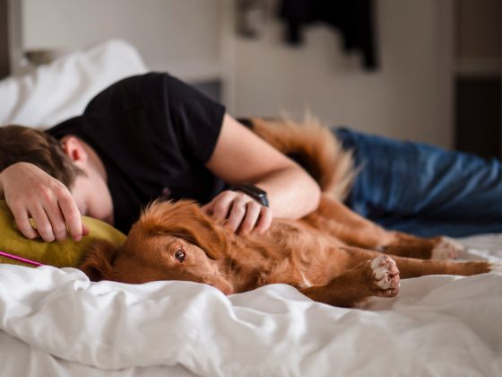 Essa capacidade de dormir menos sem comprometer o bem-estar pode ter uma explicação genética — e a ciência acaba de dar mais um passo para compreendê-la (Foto: Unsplash)