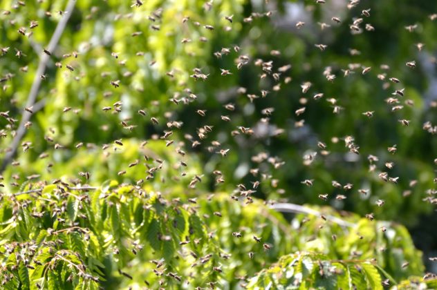 Utilizando um termômetro especial para detectar calor, Bixler confirmou a atividade intensa por trás da parede antes de iniciar a abertura (Foto: Unsplash)